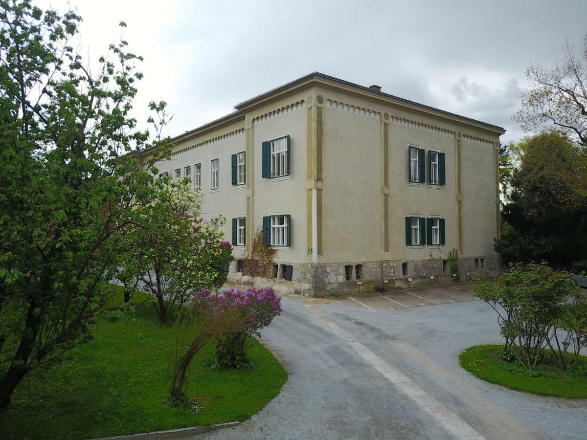 Blue Flat By Grazrentals Best Location & Free Parking Exterior foto